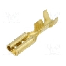 Terminal tip plat, pentru surub {{Orificiu pentru şurub}}, BM GROUP - BM 02395