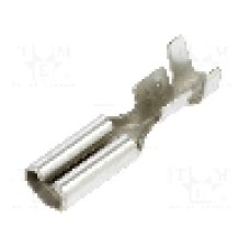 Terminal tip plat, pentru surub {{Orificiu pentru şurub}}, BM GROUP - BM 02396