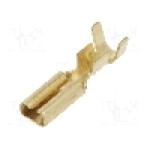 Terminal tip plat, pentru surub {{Orificiu pentru şurub}}, IMP - 1670.08.00.3