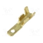 Terminal tip plat, pentru surub {{Orificiu pentru şurub}}, IMP - 1677.00.9