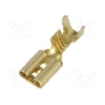 Terminal tip plat, pentru surub {{Orificiu pentru şurub}}, IMP - 2670.05.00.9