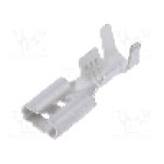 Terminal tip plat, pentru surub {{Orificiu pentru şurub}}, IMP - 2670.08.01.3