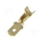 Terminal tip plat, pentru surub {{Orificiu pentru şurub}}, IMP - 2673.05.00.9