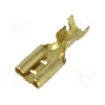 Terminal tip plat, pentru surub {{Orificiu pentru şurub}}, IMP - 3670.11.00.9