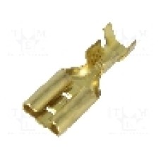 Terminal tip plat, pentru surub {{Orificiu pentru şurub}}, IMP - 3670.11.00.9