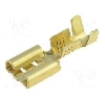 Terminal tip plat, pentru surub {{Orificiu pentru şurub}}, IMP - 670.08.00.9