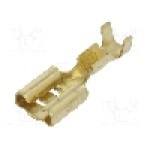 Terminal tip plat, pentru surub {{Orificiu pentru şurub}}, IMP - 672.08.00.9