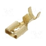 Terminal tip plat, pentru surub {{Orificiu pentru şurub}}, IMP - 674.08.00.3