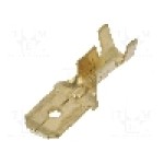 Terminal tip plat, pentru surub {{Orificiu pentru şurub}}, IMP - 679.00.3