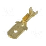 Terminal tip plat, pentru surub {{Orificiu pentru şurub}}, IMP - 679/B.00.9