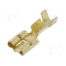 Terminal tip plat, pentru surub {{Orificiu pentru şurub}}, IMP - 770.08.00.3