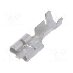 Terminal tip plat, pentru surub {{Orificiu pentru şurub}}, IMP - 770.08.01.3