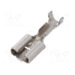 Terminal tip plat, pentru surub {{Orificiu pentru şurub}}, Inarca - 0211343121