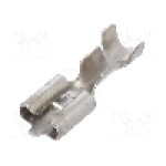 Terminal tip plat, pentru surub {{Orificiu pentru şurub}}, Inarca - 0211344121