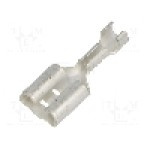 Terminal tip plat, pentru surub {{Orificiu pentru şurub}}, JST - LTO-1.0T-250N