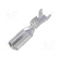 Terminal tip plat, pentru surub {{Orificiu pentru şurub}}, NINIGI - ST-001/1