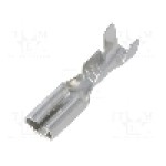 Terminal tip plat, pentru surub {{Orificiu pentru şurub}}, NINIGI - ST-001/2