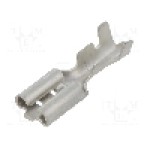 Terminal tip plat, pentru surub {{Orificiu pentru şurub}}, NINIGI - ST-003/03-08T/C