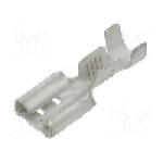 Terminal tip plat, pentru surub {{Orificiu pentru şurub}}, NINIGI - ST-003/05-20T