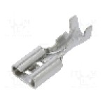 Terminal tip plat, pentru surub {{Orificiu pentru şurub}}, NINIGI - ST-003/2