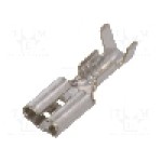 Terminal tip plat, pentru surub {{Orificiu pentru şurub}}, NINIGI - ST-004/3