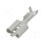 Terminal tip plat, pentru surub {{Orificiu pentru şurub}}, NINIGI - ST-005/03-08T