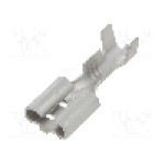 Terminal tip plat, pentru surub {{Orificiu pentru şurub}}, NINIGI - ST-005/05-20T