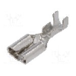 Terminal tip plat, pentru surub {{Orificiu pentru şurub}}, NINIGI - ST-005/2