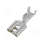 Terminal tip plat, pentru surub {{Orificiu pentru şurub}}, NINIGI - ST-005/3