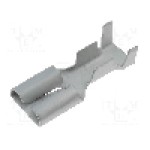 Terminal tip plat, pentru surub {{Orificiu pentru şurub}}, NINIGI - ST-005/Z2