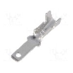 Terminal tip plat, pentru surub {{Orificiu pentru şurub}}, NINIGI - ST-031/2