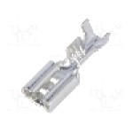 Terminal tip plat, pentru surub {{Orificiu pentru şurub}}, {{Producator}} - 