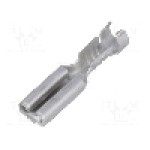 Terminal tip plat, pentru surub {{Orificiu pentru şurub}}, TE Connectivity - 160625-2