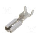 Terminal tip plat, pentru surub {{Orificiu pentru şurub}}, TE Connectivity - 160668-2