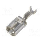 Terminal tip plat, pentru surub {{Orificiu pentru şurub}}, TE Connectivity - 160773-6