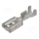 Terminal tip plat, pentru surub {{Orificiu pentru şurub}}, TE Connectivity - 5-160490-2