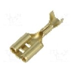 Terminal tip plat, pentru surub {{Orificiu pentru şurub}}, TE Connectivity - 5-160506-1