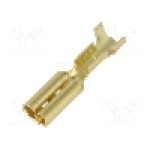 Terminal tip plat, pentru surub {{Orificiu pentru şurub}}, VOGT - 3760B.60