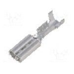 Terminal tip plat, pentru surub {{Orificiu pentru şurub}}, VOGT - 3760B.67