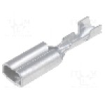 Terminal tip plat, pentru surub {{Orificiu pentru şurub}}, VOGT - 3762A.67