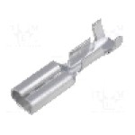 Terminal tip plat, pentru surub {{Orificiu pentru şurub}}, VOGT - 3762B.67