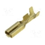 Terminal tip plat, pentru surub {{Orificiu pentru şurub}}, VOGT - 3766.60