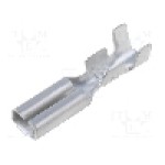 Terminal tip plat, pentru surub {{Orificiu pentru şurub}}, VOGT - 3766.67