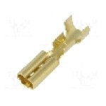 Terminal tip plat, pentru surub {{Orificiu pentru şurub}}, VOGT - 3767.60