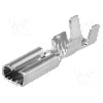 Terminal tip plat, pentru surub {{Orificiu pentru şurub}}, VOGT - 3769H08.68