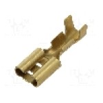 Terminal tip plat, pentru surub {{Orificiu pentru şurub}}, VOGT - 3800.60