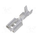 Terminal tip plat, pentru surub {{Orificiu pentru şurub}}, VOGT - 3800.67