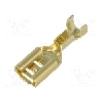 Terminal tip plat, pentru surub {{Orificiu pentru şurub}}, VOGT - 3801.60