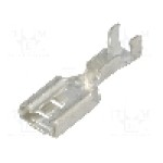 Terminal tip plat, pentru surub {{Orificiu pentru şurub}}, VOGT - 3801.67