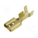 Terminal tip plat, pentru surub {{Orificiu pentru şurub}}, VOGT - 3805.60